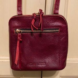 Cute leather crossbody-EUC!